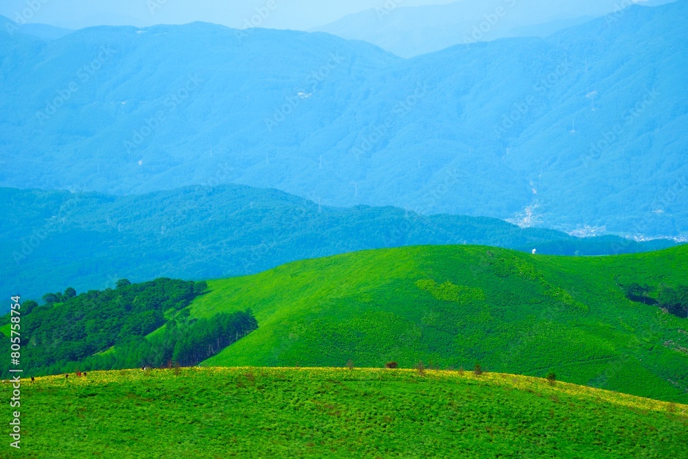 Obraz premium 夏の霧ケ峰高原の風景