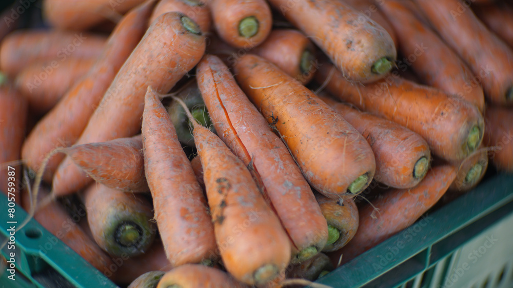 Carrots piled up in a vegetable store Carrots piled up in a vegetable store