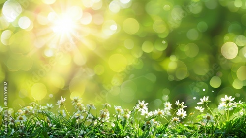 Detailed view of grass and flowers illuminated by sunlight