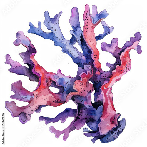 Elkhorn coral ,illustration watercolor isolate e 