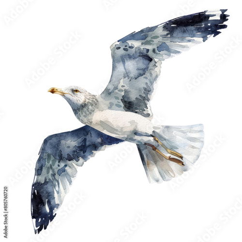 Larus is a large genus of gulls with worldwide distribution . Large White-headed Gulls photo