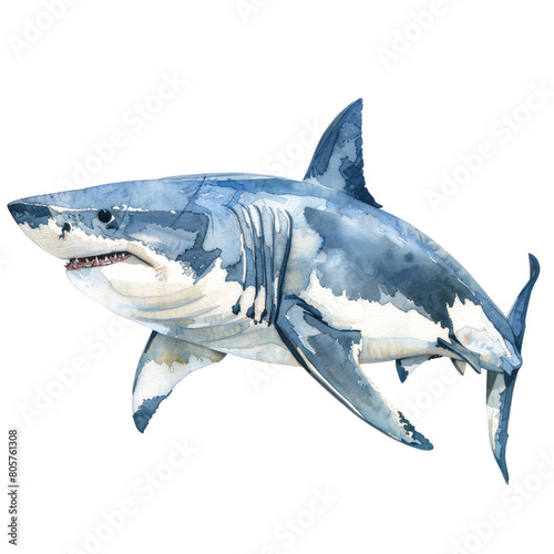 shark isolated on white