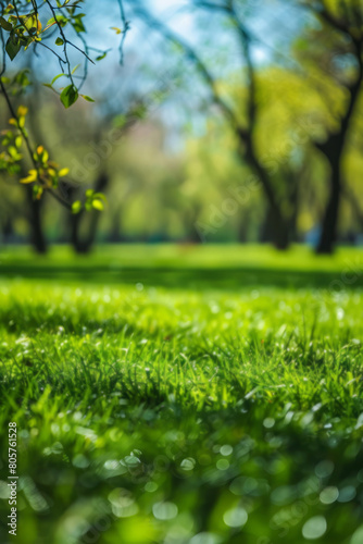 A spring nature scene of a green grass meadow in a park with trees under a blue sky is blurred in the background.