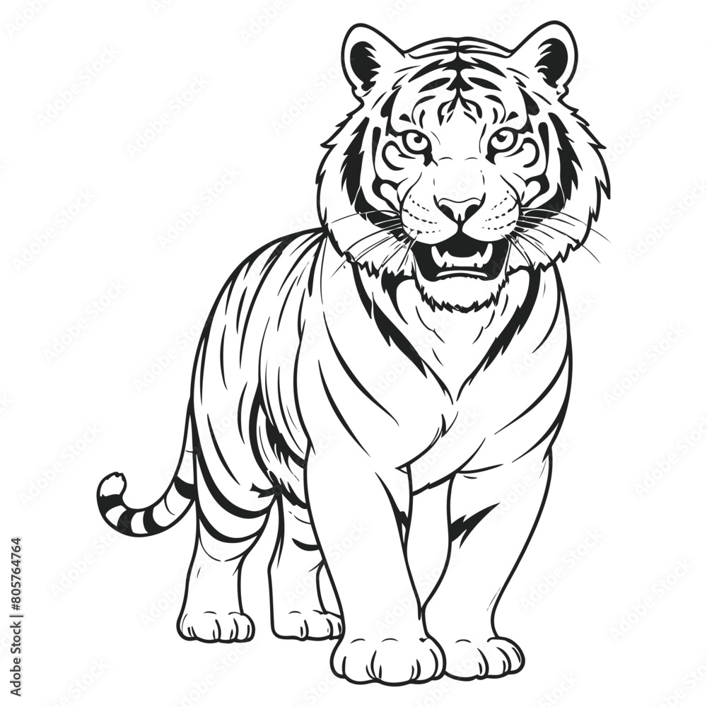 Hand sketch tiger walking forward line art vector illustration Hand sketch tiger walking forward line art vector illustration