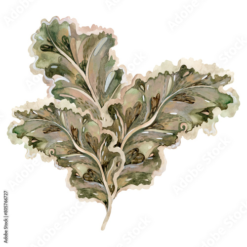 stylized textured tropical leaves and twigs on a white background. Isolate. Flat illustration. Drawing for the design of souvenirs, cards, posters and invitations.