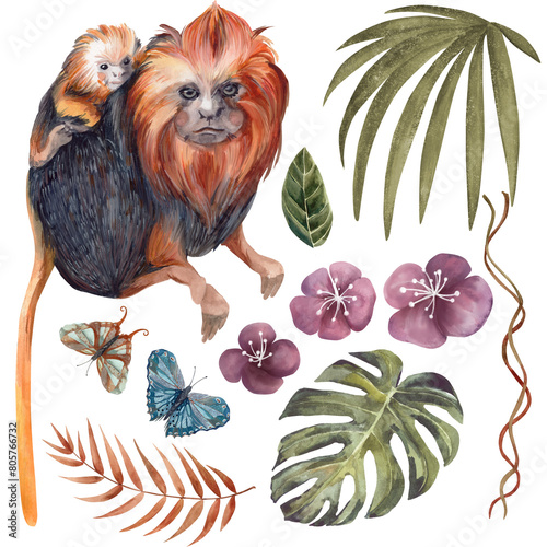 Set of monkey, butterflies and various tropical leaves. Watercolor illustration on a white background. Isolate.