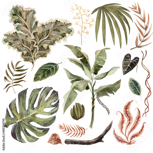 Set of tropical leaves. Watercolor drawing on a white background. Isolate. Flat illustration. Drawing for the design of souvenirs, cards, posters and invitations.