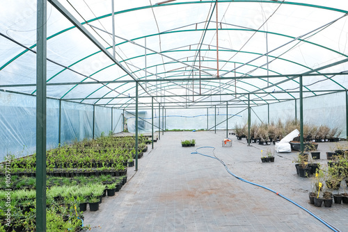 Photography Center for the sale of berry bushes and fruit trees