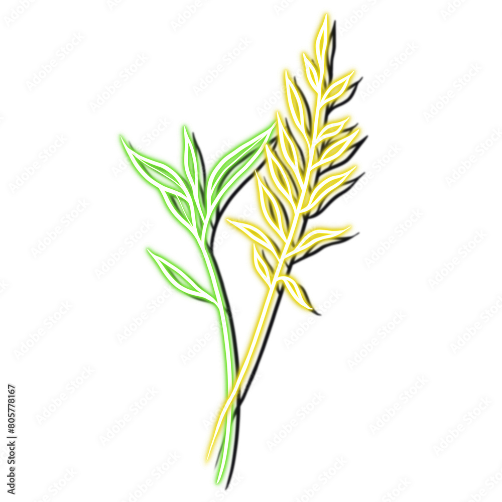 Obraz premium flowers with a neon or glow in the dark effect isolated on a transparent background