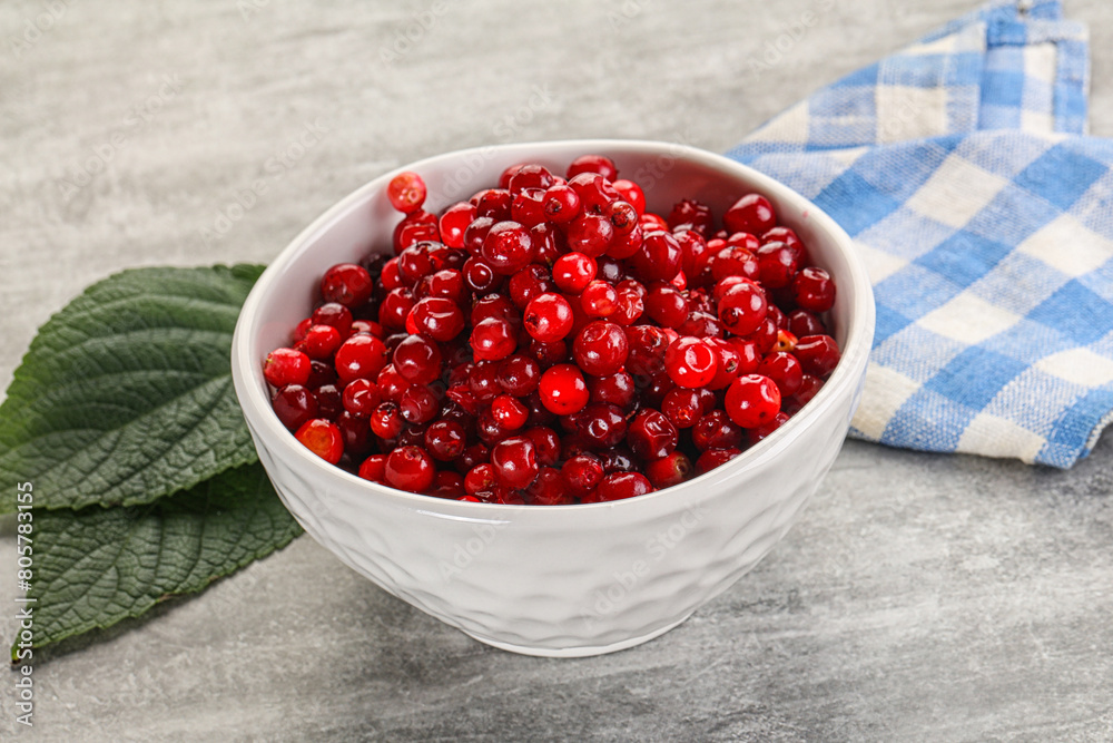 Ripe sweet wild organic cowberry Ripe sweet wild organic cowberry