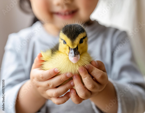 Duck held gently by a child