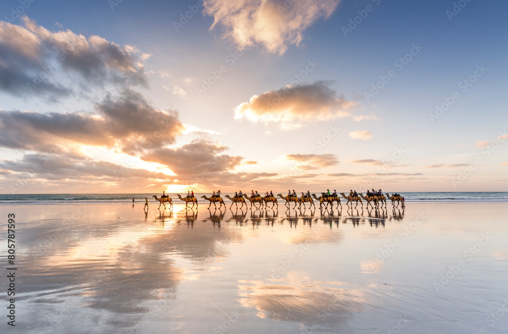Obraz premium camels on reflective beach