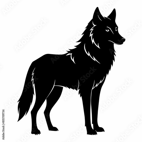 wolf vector illustration