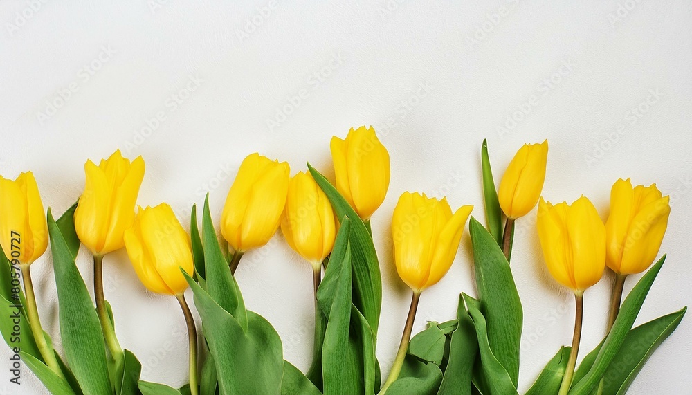 Beautiful composition of spring flowers. Yellow tulips flowers on white background Valentin Beautiful composition of spring flowers. Yellow tulips flowers on white background Valentin