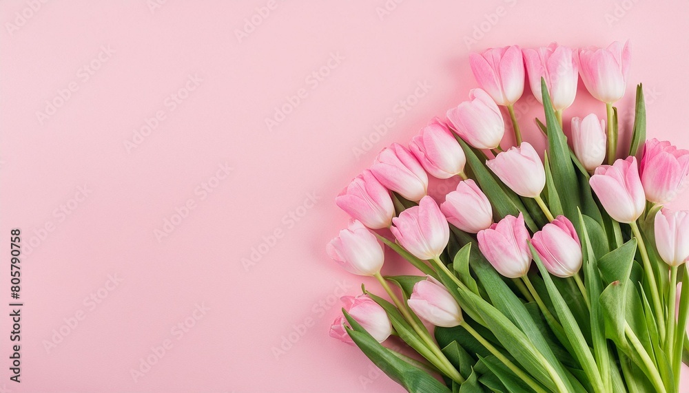 Beautiful composition spring flowers. Bouquet of pink tulips flowers on pastel pink backgrou