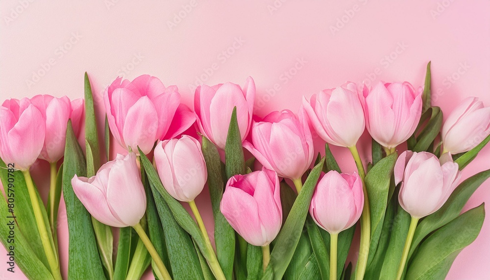 Obraz premium Beautiful composition spring flowers. Bouquet of pink tulips flowers on pastel pink backgrou