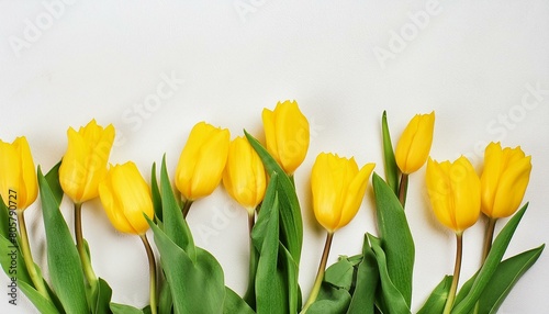 Beautiful composition of spring flowers. Yellow tulips flowers on white background Valentin
