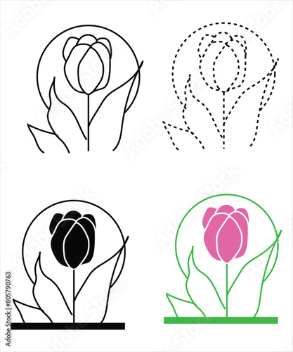 Tulip flower vector illustration