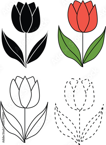 Tulip flower vector illustration