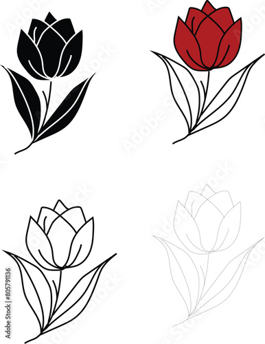 Tulip flower vector illustration