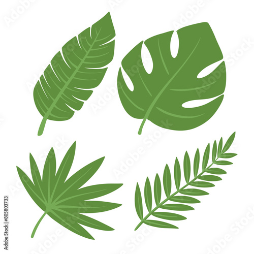 tropical leaf collection set editable