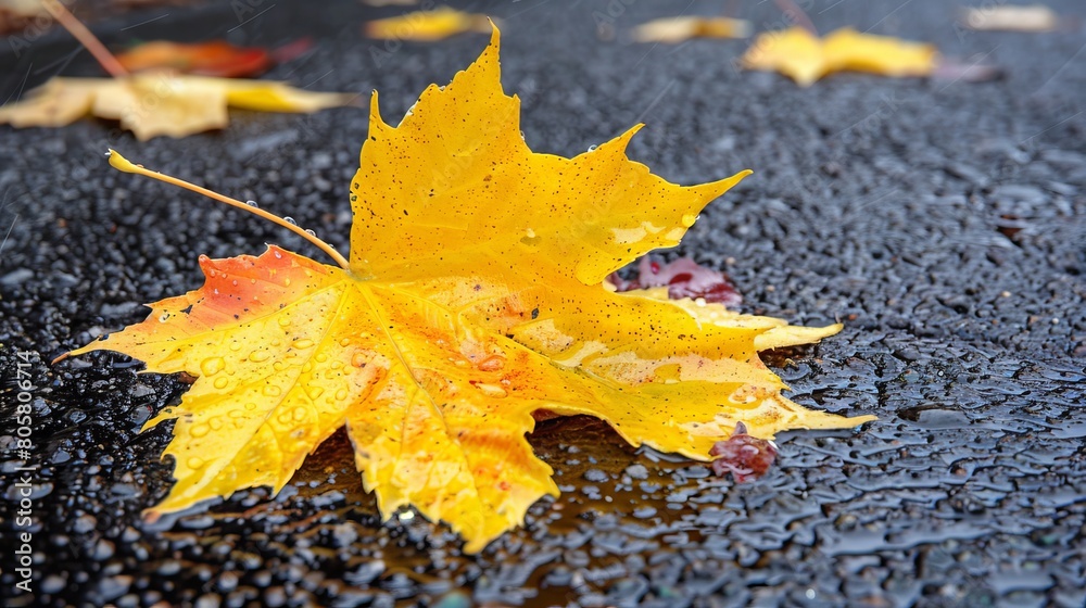 A tight shot of a yellow leaf hovering above a wet surface, dotted with water droplets, and adjacent drops on the ground A tight shot of a yellow leaf hovering above a wet surface, dotted with water droplets, and adjacent drops on the ground