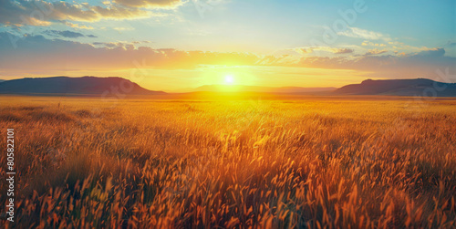 A field of tall grass with a bright orange sun in the sky #805822101