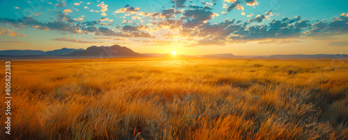 A large field of tall grass with a bright orange sun in the sky photo