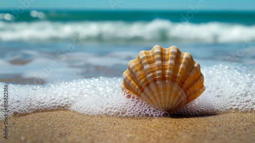 A Beautiful Seashell Seaside Haven . Generative Ai © Witri