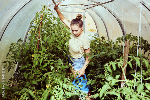 European woman in his 20s caring for tomatoes in hotbed on summer day. photo