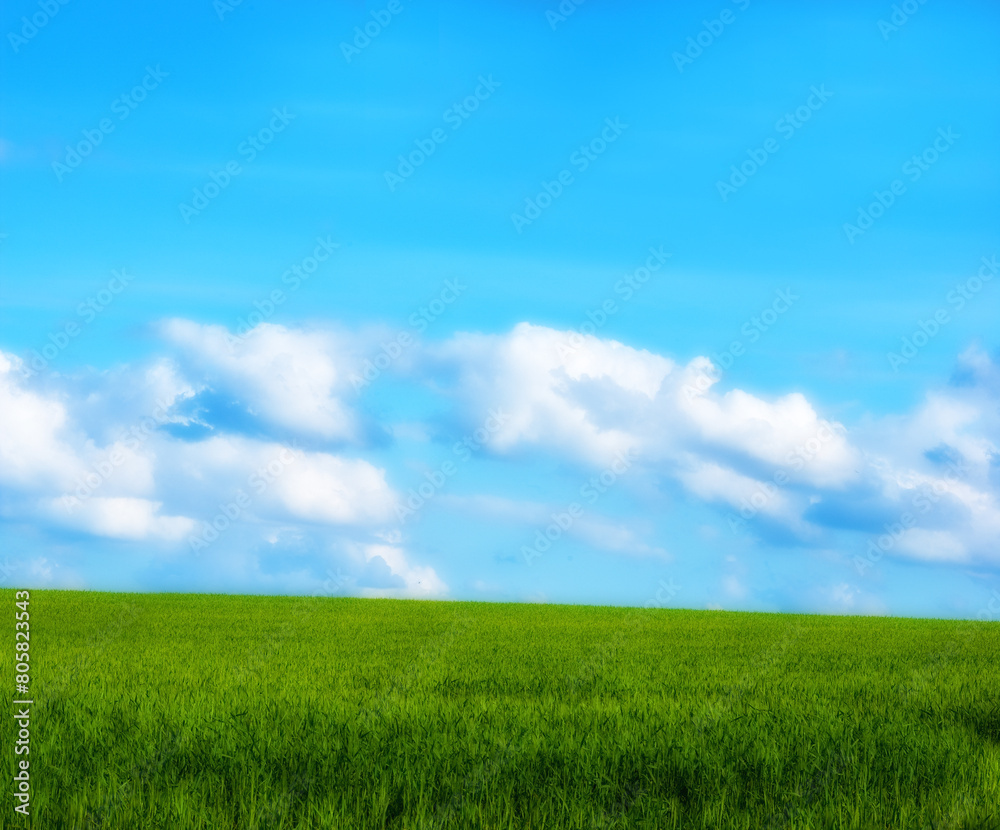 Green, field and grass with blue sky, landscape and nature in clouds, countryside. Sustainability, environment and meadow in horizon for carbon capture, outdoor and eco friendly for agriculture