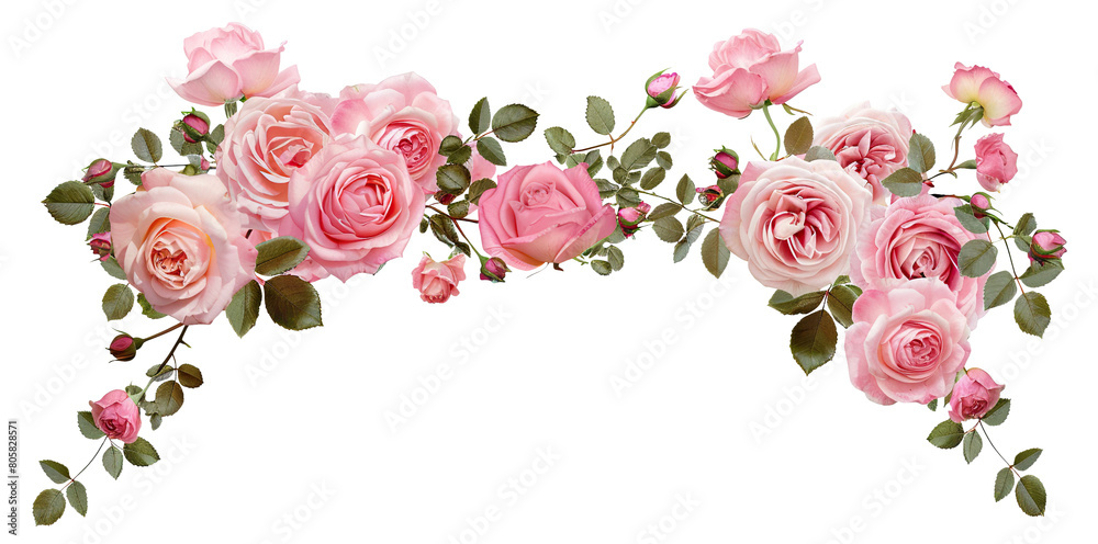 Beautiful arch composed of pink roses and rich green leaves, cut out Beautiful arch composed of pink roses and rich green leaves, cut out