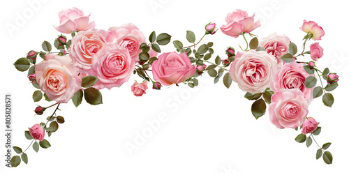 Beautiful arch composed of pink roses and rich green leaves, cut out