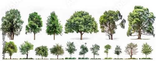 A variety of lush green trees stand isolated against a white background, perfect for eco-conscious designs and nature-themed projects