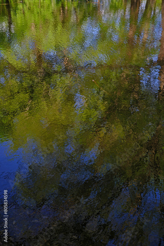 colorful reflection of summer landscape in water. trees  sky  lake. beautiful nature background