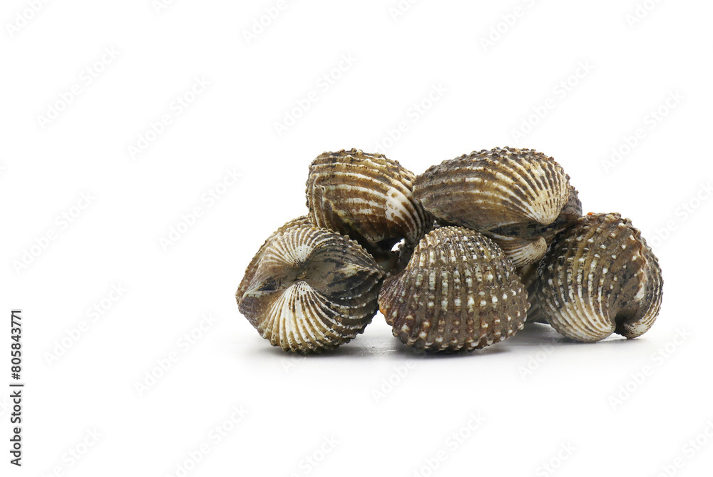 This is a close-up photo of a white background clam shell, commonly known as a cockle. seafood. This shell is often found on sandy. This is a close-up photo of a white background clam shell, commonly known as a cockle. seafood. This shell is often found on sandy.