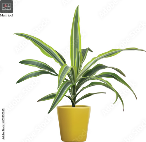 Plant tob for home decorating ideas. Beautiful window hanging tob with colourful trees.