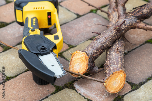Small handheld lithium battery powered chainsaw with cutted twigs, branches of a fruit tree on a paving slabs. The concept of season pruning trees in spring and autumn.
