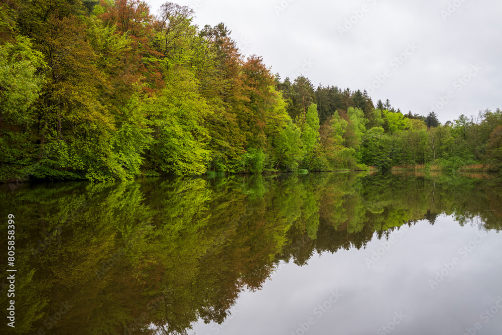 lake in the woods