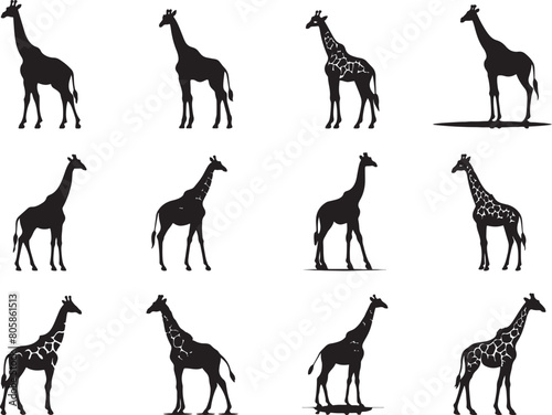 Giraffe Silhouette Vector Illustration