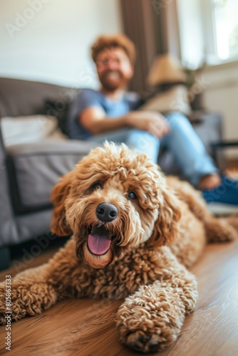 Relaxed Man with His Friendly Goldendoodle Lying on Living Room Rug © Darya