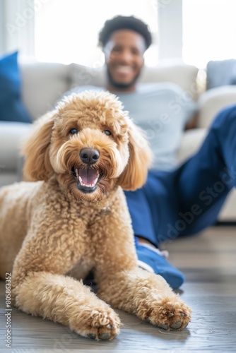 Happy African American Man with His Playful Goldendoodle Dog © Darya
