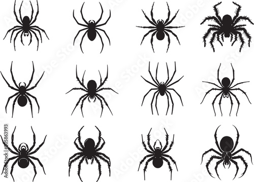 Spider Silhouette Vector Illustration