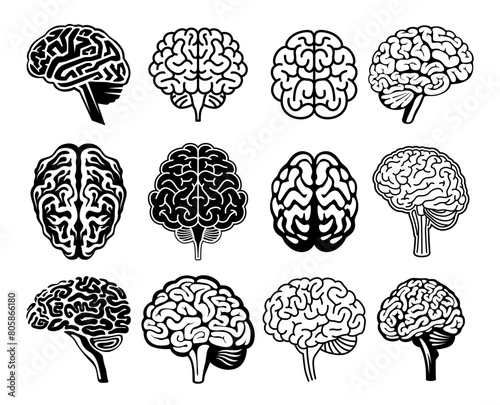 Human brain black and white anatomy neurology silhouette icon set vector illustration