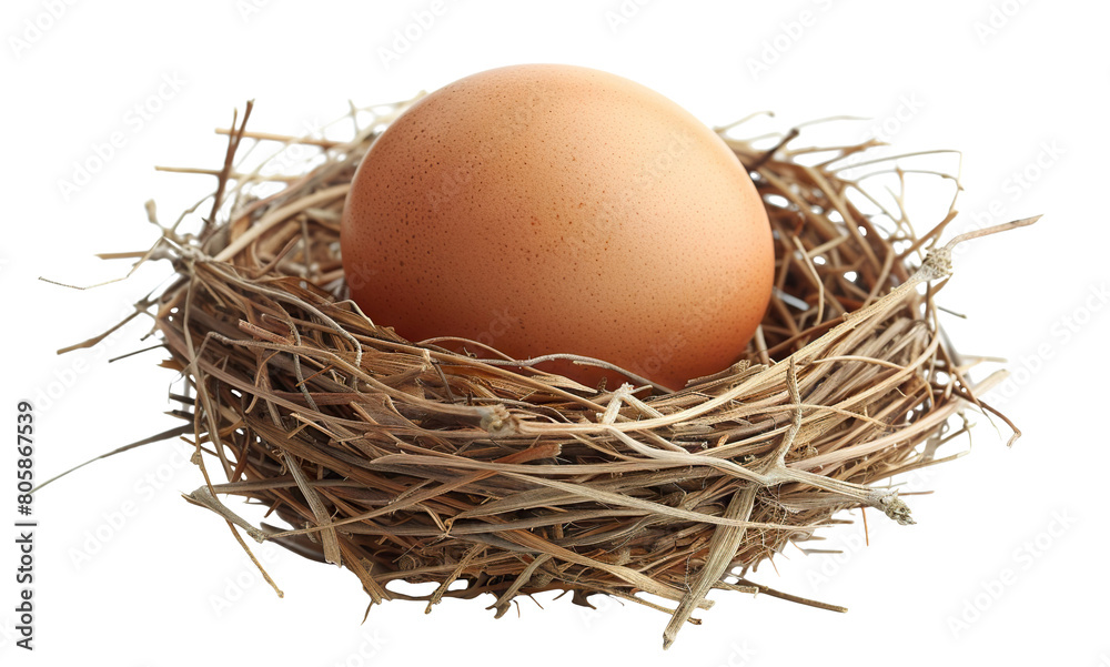 Brown egg within a rustic nest made of interwoven twigs and straw, cut out Brown egg within a rustic nest made of interwoven twigs and straw, cut out