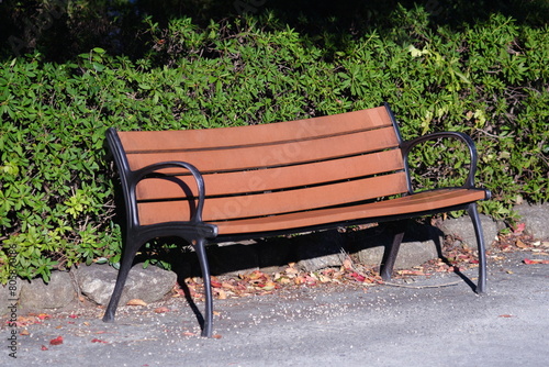 公園のベンチと落ち葉 