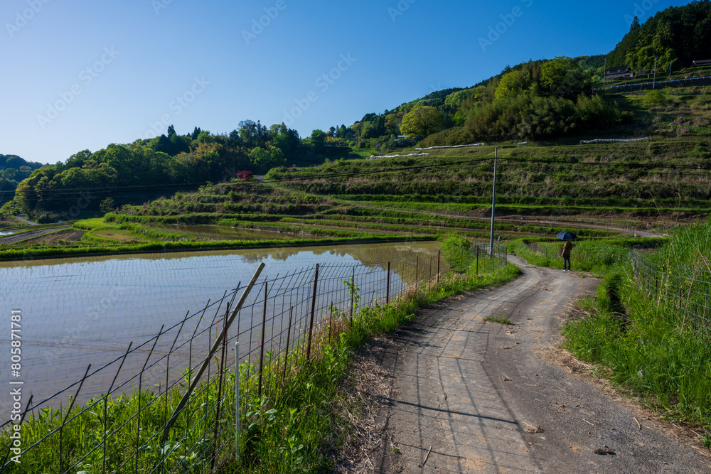 日本の岡山県美咲町の棚田の美しい風景 日本の岡山県美咲町の棚田の美しい風景