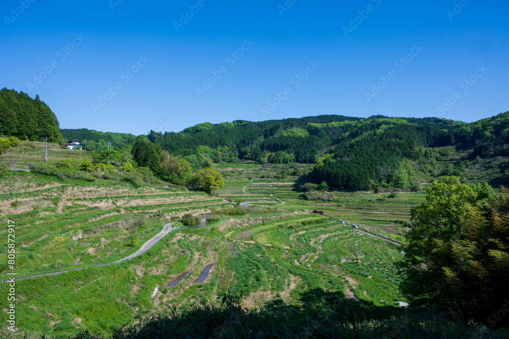 日本の岡山県美咲町の棚田の美しい風景 日本の岡山県美咲町の棚田の美しい風景