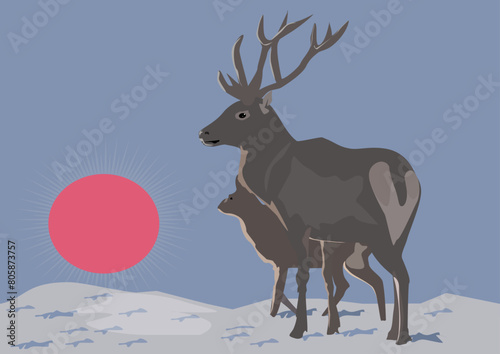 deer silhouette isolated on white