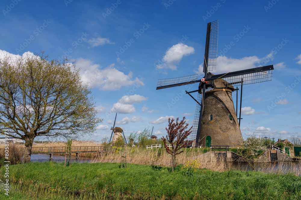 Fototapeta premium Kinderdijk in den Niederlanden